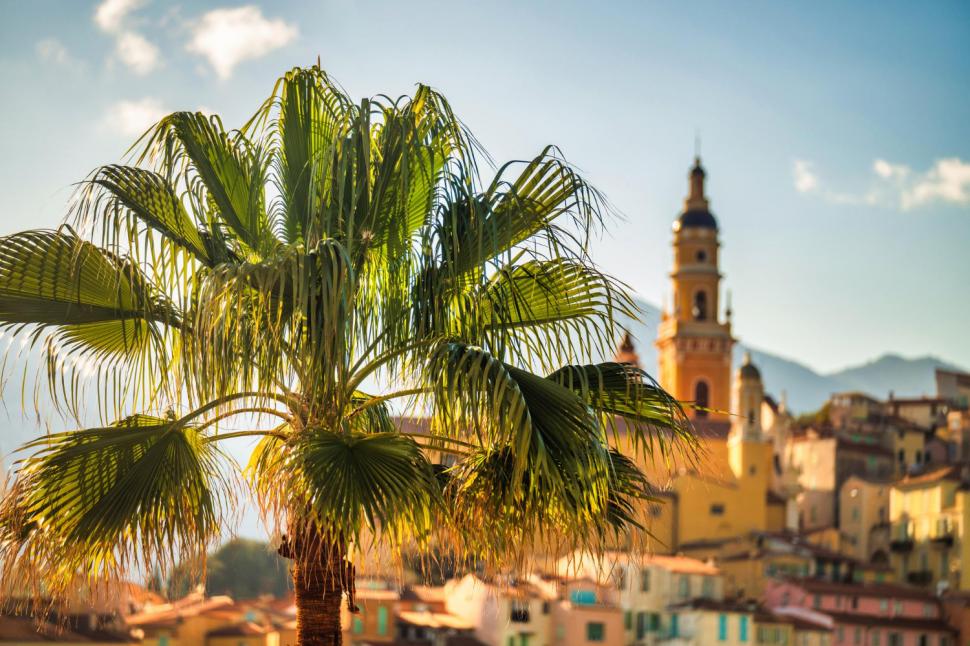 (P) Diferențele dintre nord și sud: cum să alegi zona de cazare potrivită &icirc;n Tenerife