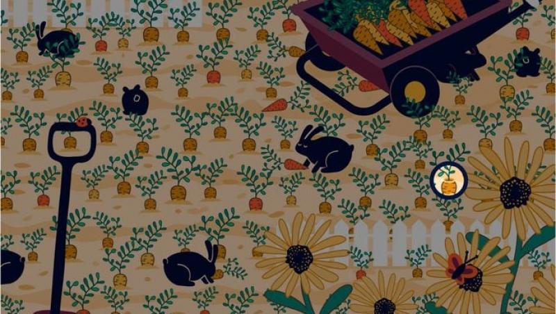 Ghicitoarea care a înnebunit internetul! Crezi că poți găsi puiul în această imagine? Doar cei cu ochi de vultur îl pot identifica