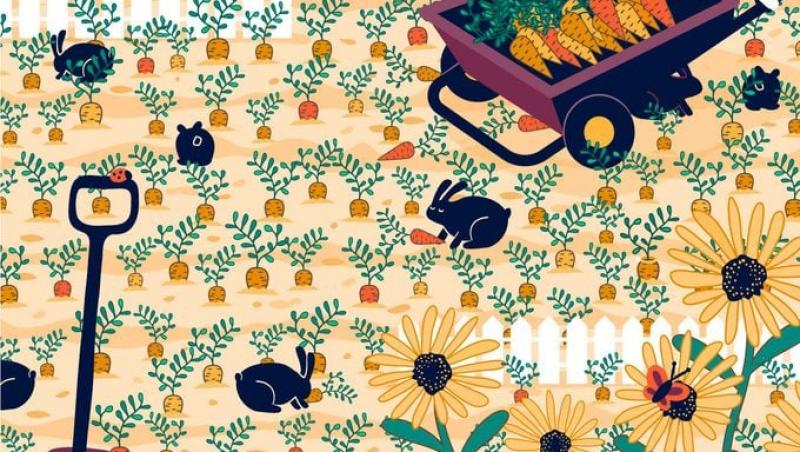 Ghicitoarea care a înnebunit internetul! Crezi că poți găsi puiul în această imagine? Doar cei cu ochi de vultur îl pot identifica