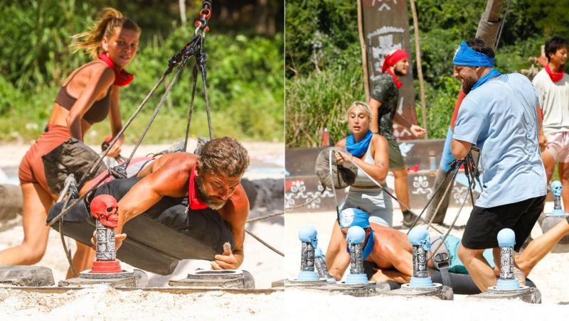 colaj survivor romania 2026