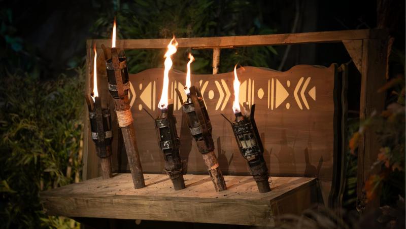 Survivor, 29 martie. Războinicii, la al șaselea duel de eliminare. Fetele sunt în pericol. Ramona vs. Loredana. Cine a plecat