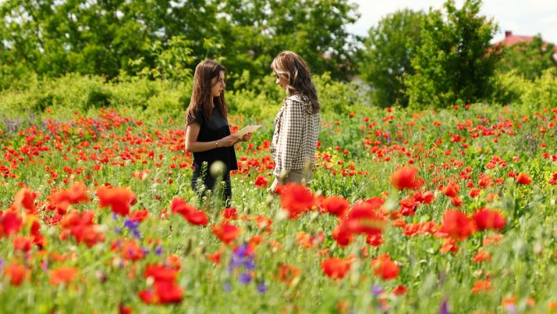 Serialul Iubire cu parfum de lavandă lansează spin-off-ul Destine cu parfum de lavandă, din 16 aprilie