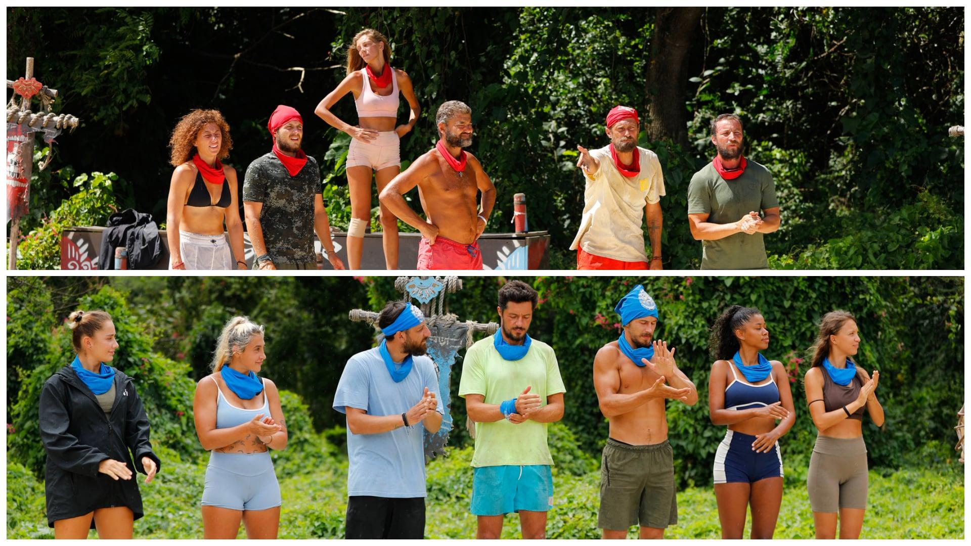 Colaj cu concurentii survivor