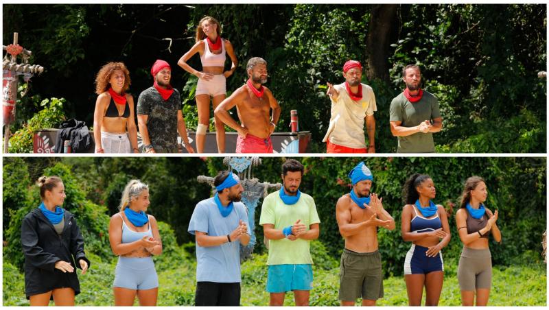 Colaj cu concurentii survivor