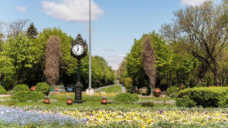 parcul Cișmigiu pe un fundal luminos