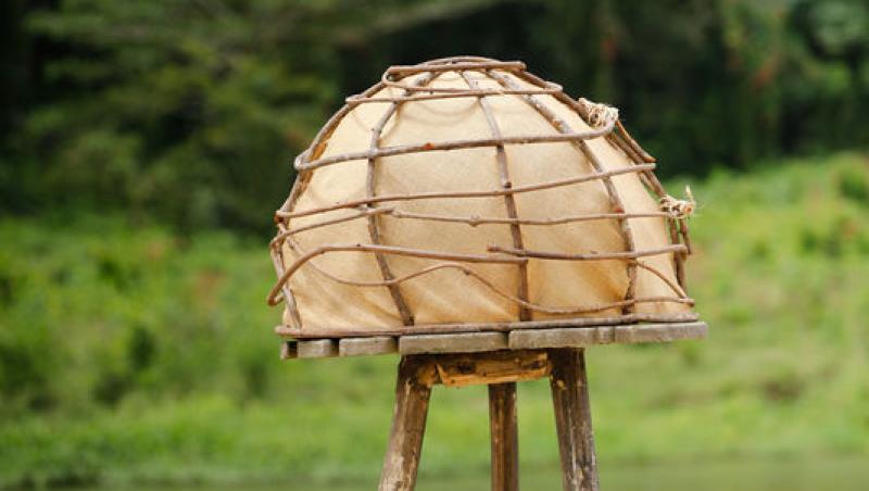 Survivor, 17 aprilie 2026. Cine a câștigat jocul de recompensă. Prin ce probă dificilă au trecut Războinicii și Faimoșii