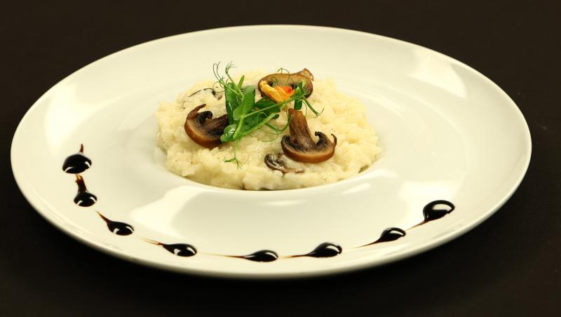 Chefi la cuțite, 21 aprilie 2026. Ce temă de gătit au primit concurenții la duel! Ce farfuriii au impresionat jurații la degustare