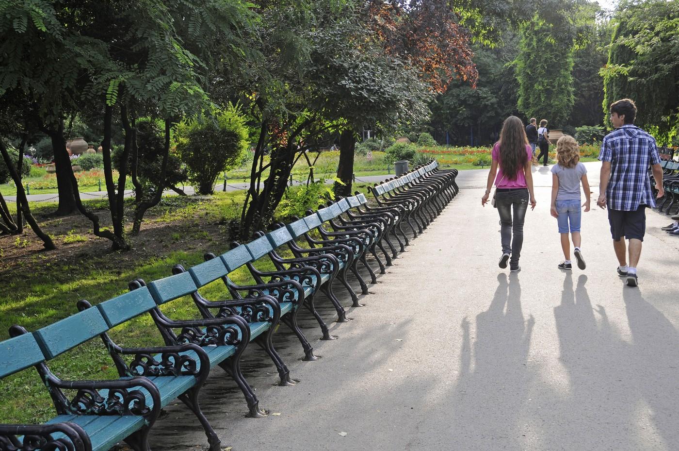 imagine dintr-un parc pe un fundal luminos