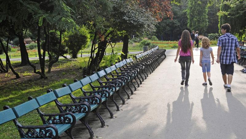 imagine dintr-un parc pe un fundal luminos