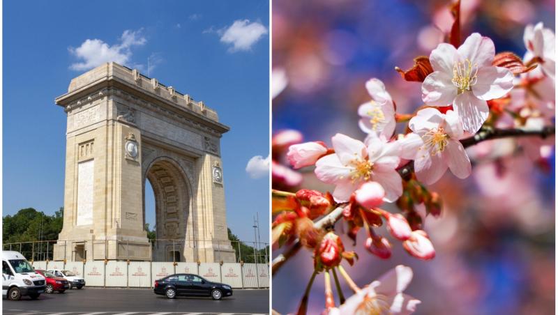 colaj foto cu arcul de triumf si o creanga de pom inflorit cu flori roz