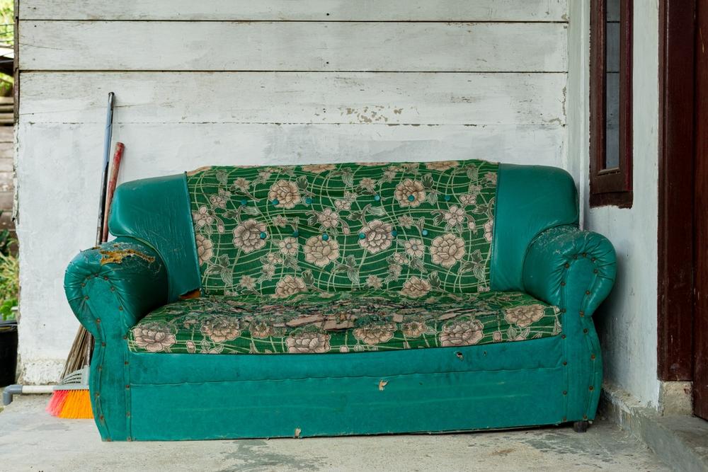 imagine cu o canapea verde