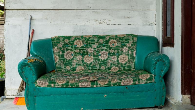 imagine cu o canapea verde