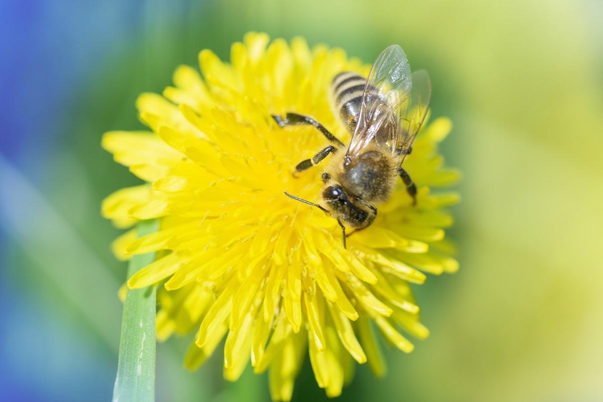 &bdquo;Apocalipsa insectelor&rdquo; deja duce la subnutriție &icirc;n r&acirc;ndul copiilor. Ce zone au fost afectate