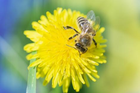 &bdquo;Apocalipsa insectelor&rdquo; deja duce la subnutriție &icirc;n r&acirc;ndul copiilor. Ce zone au fost afectate