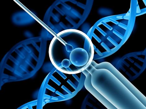 Fertilizarea in vitro &ndash; efecte secundare și riscuri