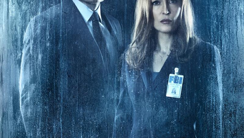 Cum arată acum vedeta din „Dosarele X”. Gillian Anderson, transformată complet în 2026