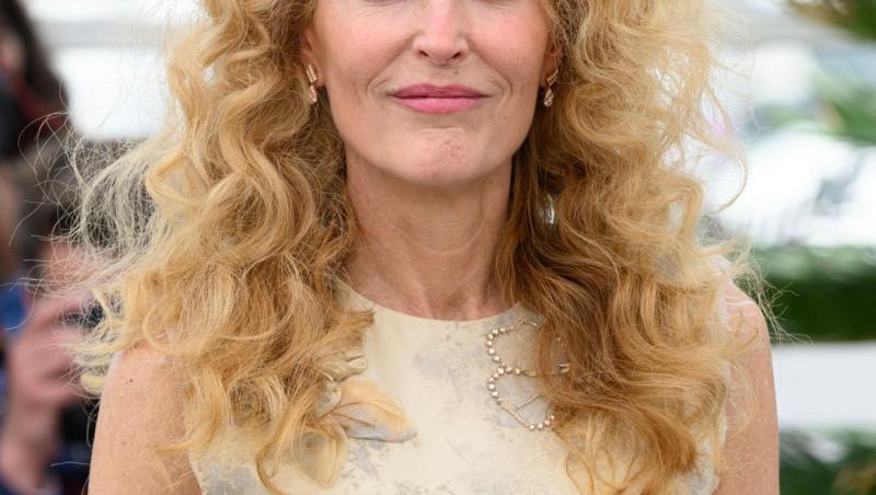 Cum arată acum vedeta din „Dosarele X”. Gillian Anderson, transformată complet în 2026