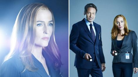Cum arată acum vedeta din &bdquo;Dosarele X&rdquo;. Gillian Anderson, transformată complet &icirc;n 2026