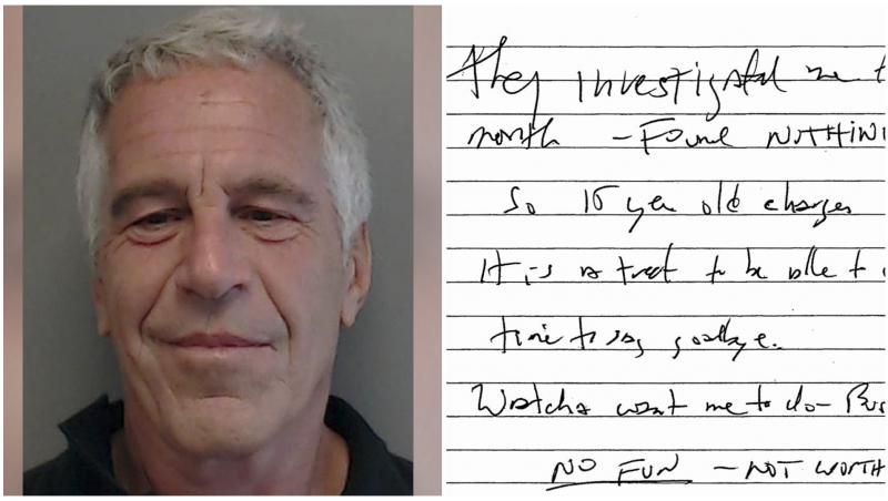 Colaj cu Jeffrey Epstein și presupusul său mesaj