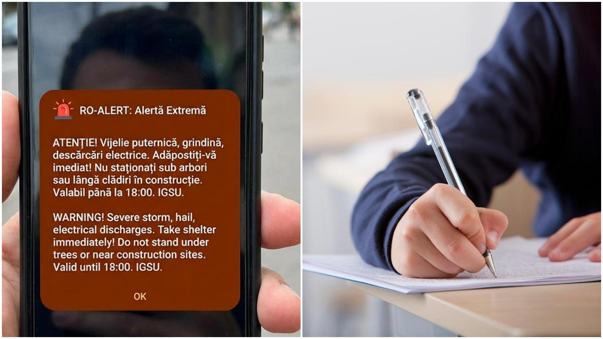 colaj cu elev si ro alert
