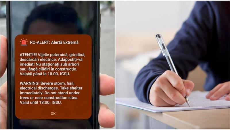 colaj cu elev si ro alert