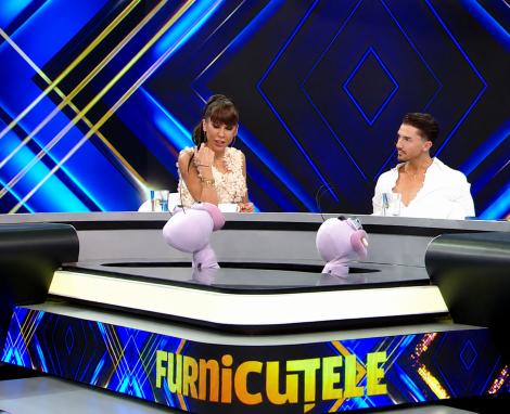 &bdquo;Furnicuțele&rdquo;, invitat Emil Rengle: &Icirc;ntrebările incomode despre relații la care Denise Rifai a răspuns: &bdquo;Mai departe&rdquo;