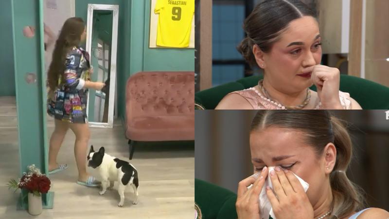Colaj cu concurenții Mireasa