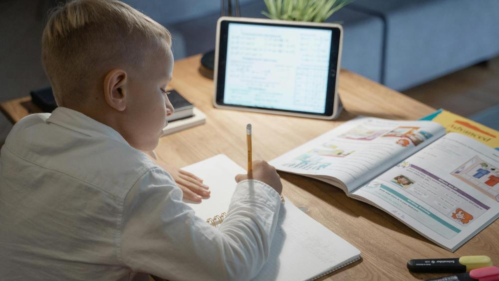 (P) Școala Virtuală - alternativa de succes a meditațiilor