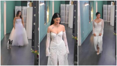 Mireasa, sezon 13. Fetele au defilat &icirc;n rochii de mireasă &icirc;n fața familiilor. Imagini emoționante cu Amalia, Ema și Giulia