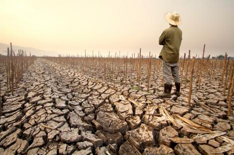 Fenomenul El Nino evoluează &icirc;ngrijorător. P&acirc;nă c&acirc;nd ne-am putea confrunta cu fenomenele meteo extreme