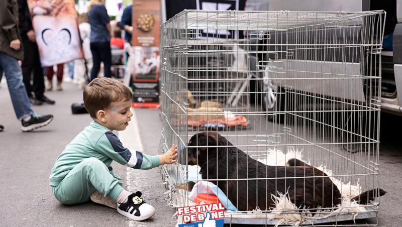 (P) Festival de Bine își deschide porțile la Arena Națională, pentru un weekend cu concerte și activități pentru toată familia