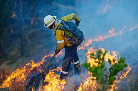 Zonele afectate de incendii din Europa se vor tripla p&acirc;nă &icirc;n 2100. Care vor fi cele mai afectate țări