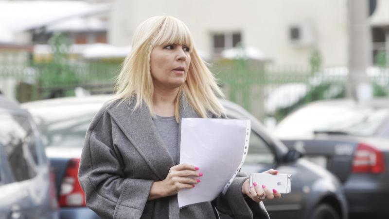 Elena Udrea și Adrian Alexandrov au împlinit zece ani de relație! Anunțul făcut de fostul politician. Ce imagine a postat