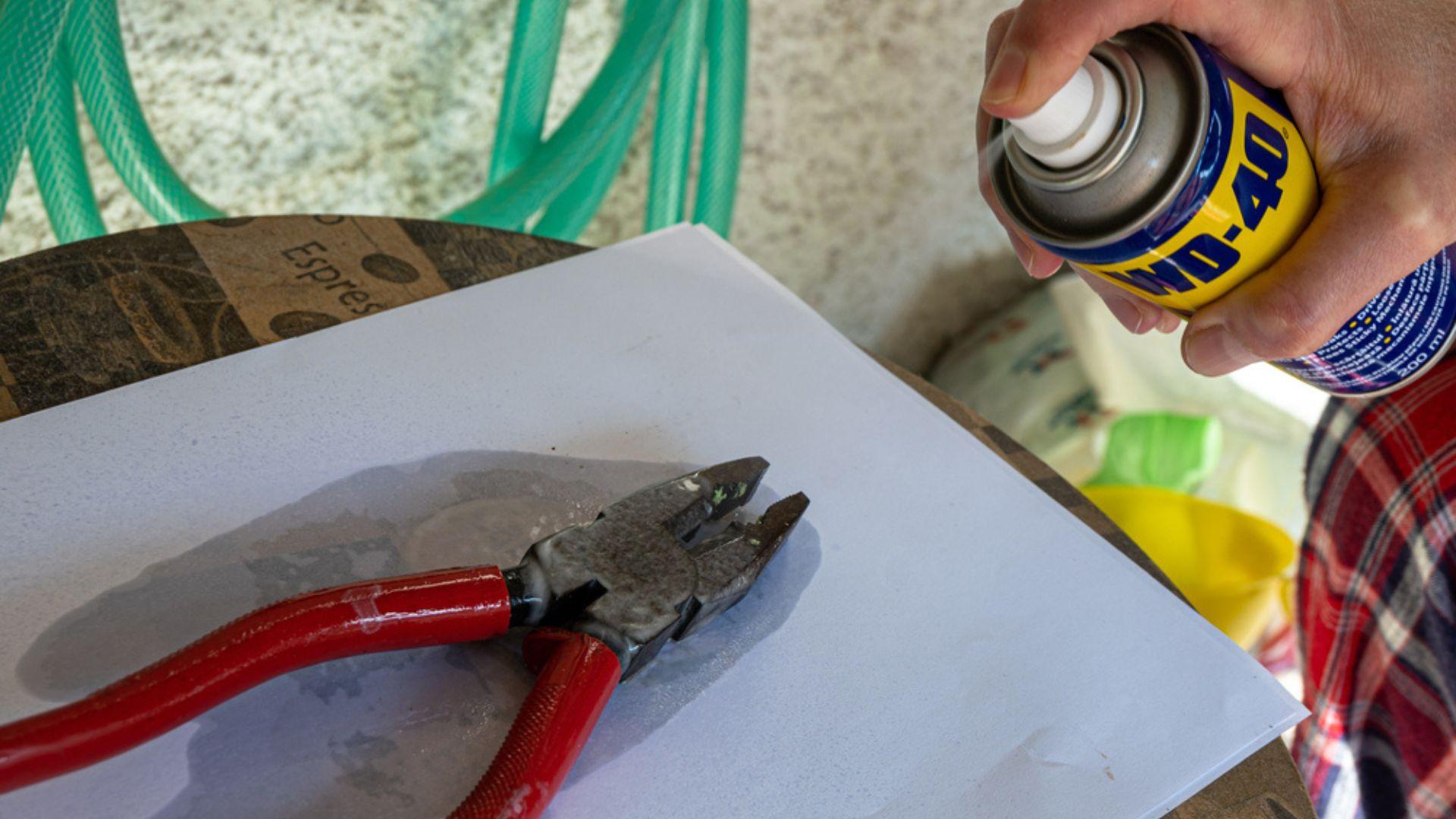 De ce unii bărbați pulverizează WD-40 pe scule &icirc;nainte să le pună &icirc;napoi &icirc;n garaj. Trucul &icirc;mpotriva ruginii