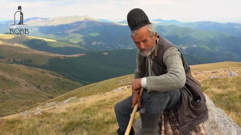 Are 69 de ani și păzește singur mii de oi &icirc;n munți. Suma fabuloasă cu care ar plăti pe cineva să-l ajute