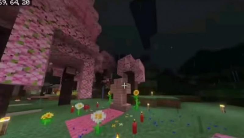 Minecraft