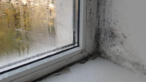 C&acirc;nd trebuie să &icirc;nchizi geamurile toamna. Greșeala care poate favoriza apariția mucegaiului &icirc;n casă