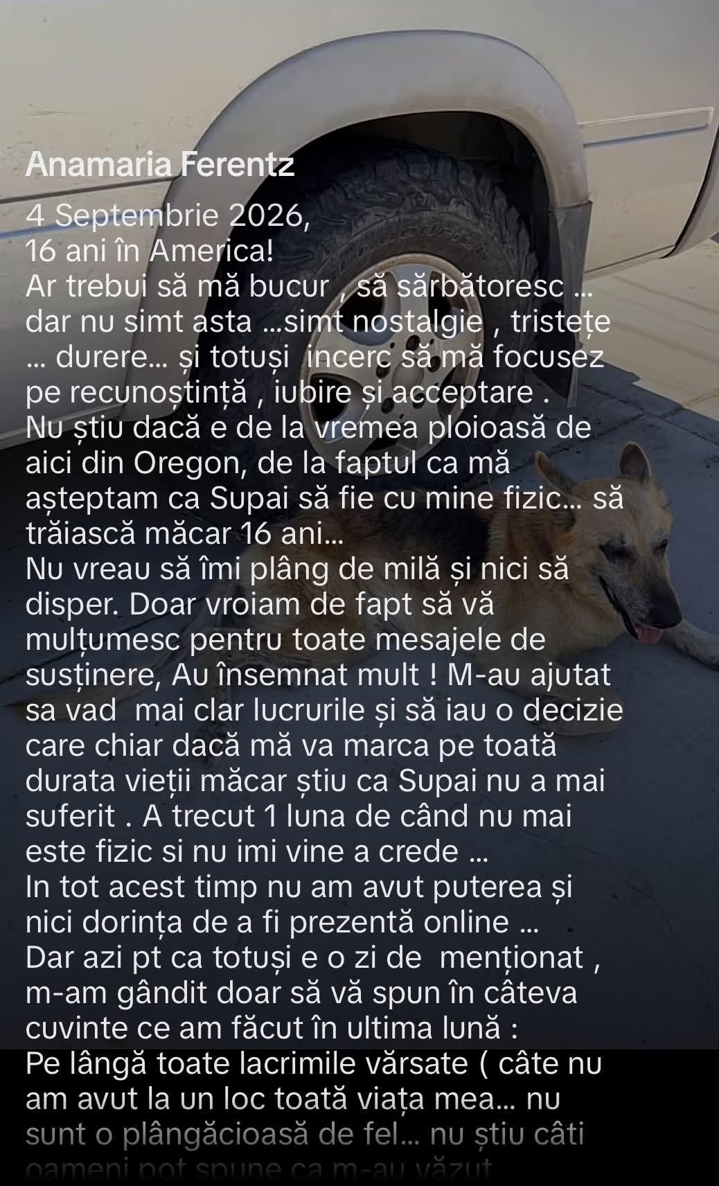 mesajul anamariei ferentz