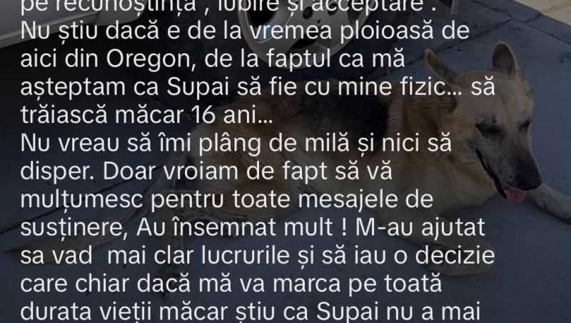 mesajul anamariei ferentz
