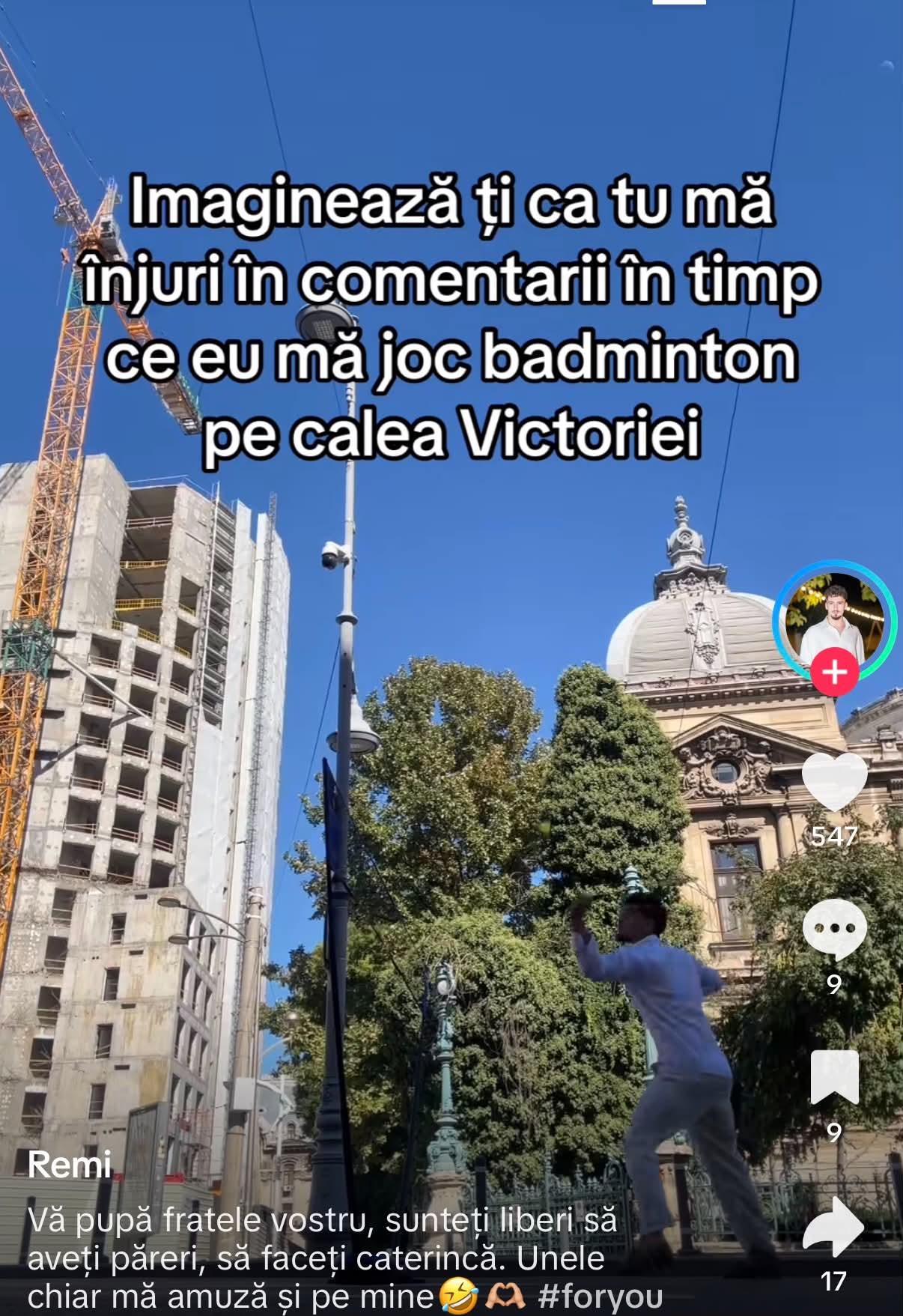 remi insula iubirii X