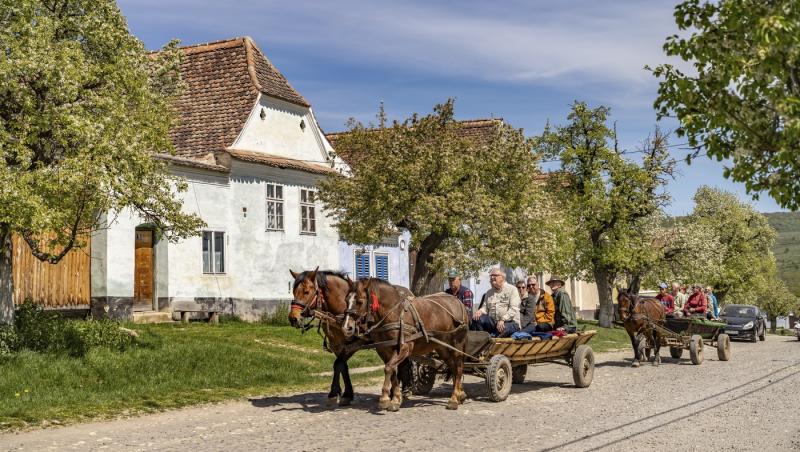 Căruță cu cai și turiști &icirc;n satul Viscri