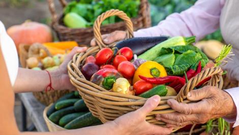 Nepoții noștri nu vor m&acirc;nca aceleași fructe și legume ca noi, avertizează experții. Ce se va &icirc;nt&acirc;mpla cu recoltele de toamnă