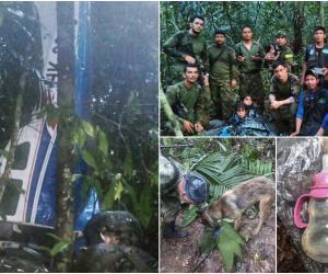 Lecţie de supravieţuire incredibilă: Cum au rezistat timp de 40 de zile cei 4 copii mici, între care un bebeluş, după ce avionul lor s-a prăbuşit în junglă