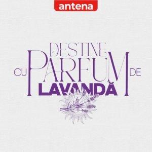 Destine cu parfum de lavanda