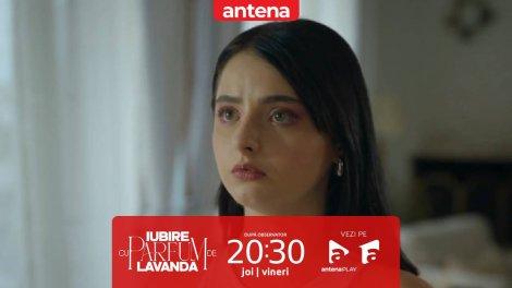 Iubire cu parfum de lavandă | Episodul 34, 12 decembrie 2024. Petrecere surpriză pentru Alma! Tânăra nu se bucură, Cristi tocmai s-a despărțit de ea