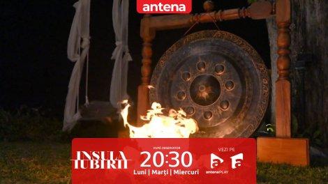 Insula iubirii Sezonul 9, 6 august 2025. S-a aprins flacăra la vila băieților! Andrei Lemnaru: Gongul nu poate fi pentru mine!