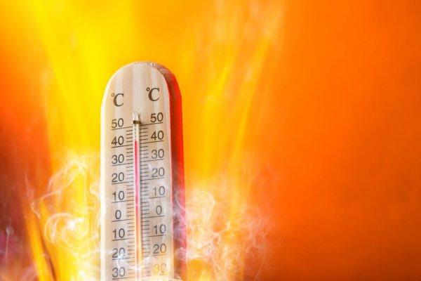 Alertă ANM de caniculă! Zece județe se află sub cod galben de temperaturi deosebit de ridicate. Ce zone sunt vizate de avertizare