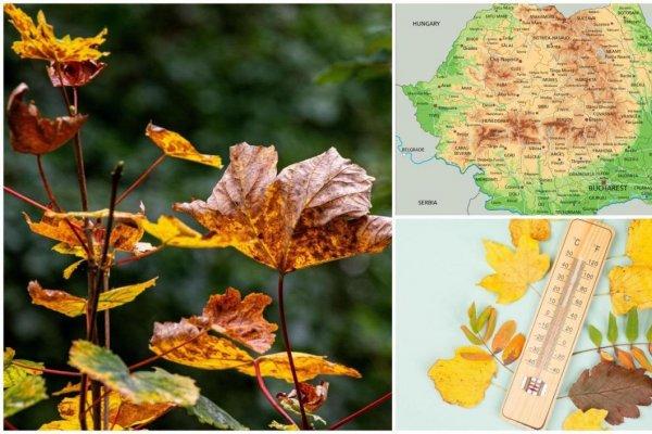 Zodiile care renasc la finalul lunii septembrie 2025. Ce vești pozitive primesc nativii
