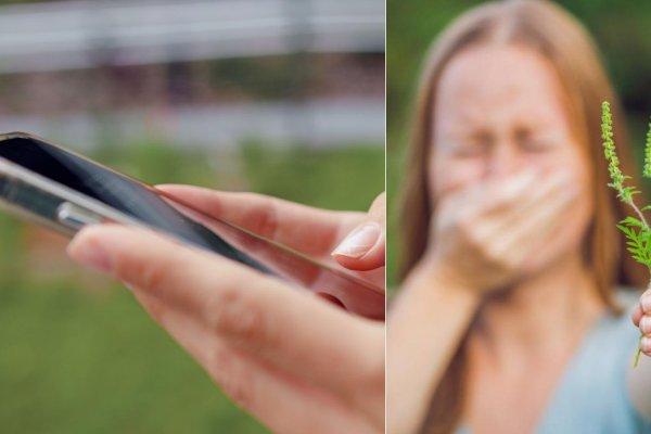 Ai alergie la ambrozie? Aplicația care &icirc;ți arată nivelul polenului din zona ta și c&acirc;nd e mai bine să eviți expunerea