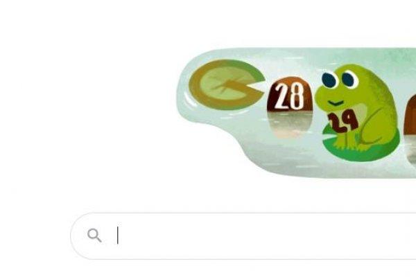 Google marchează ziua de azi, 29 februarie 2024, cu un doodle special, vizibil și în România. Ce reprezintă animația cu broscuță